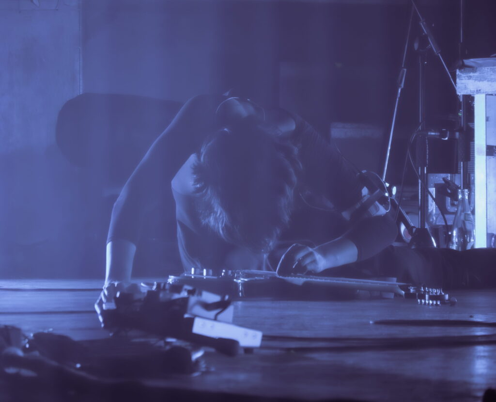 geese hamburg docks 16.03.2026