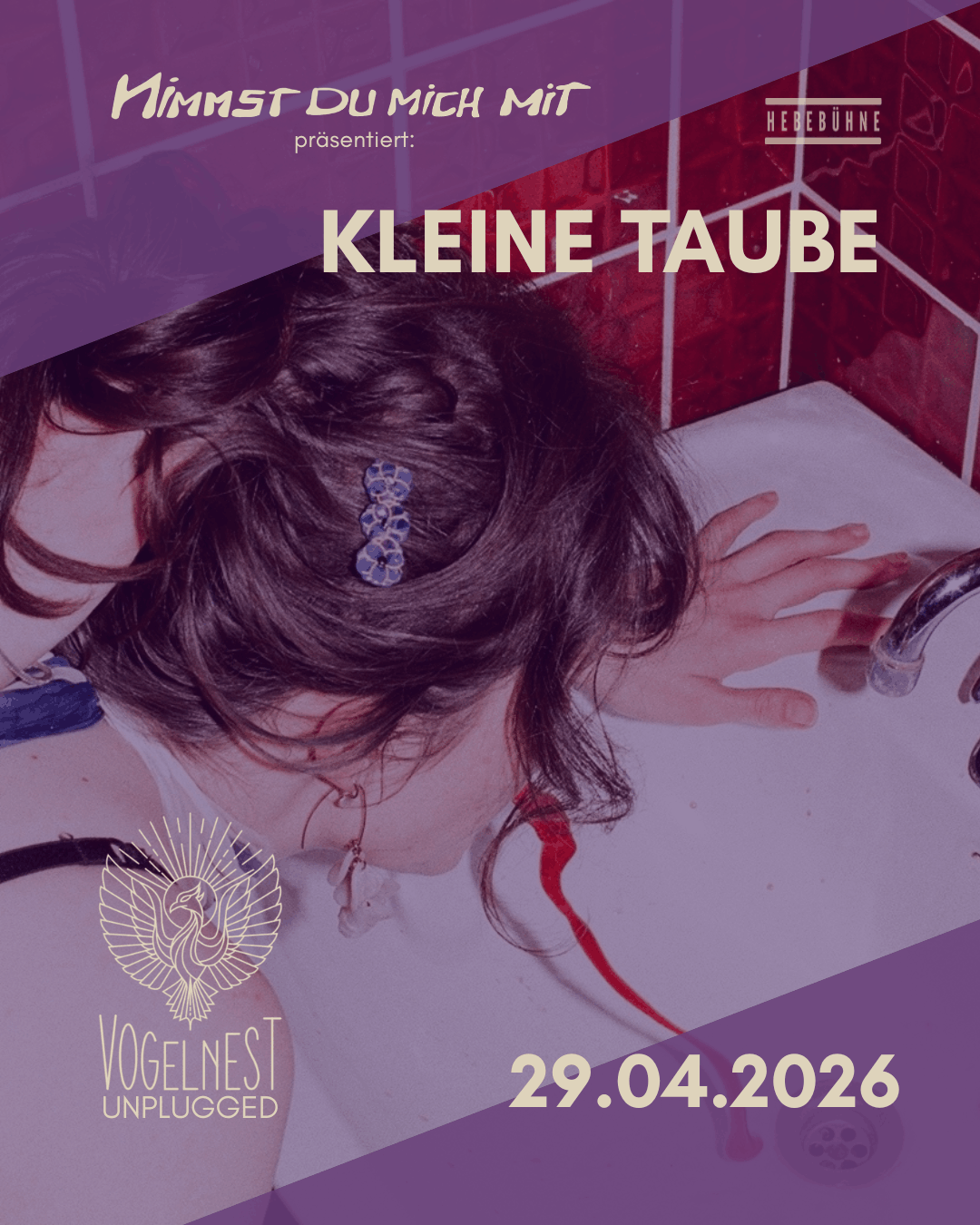 kleine taube vogelnest unplugged